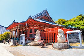 新大阪 西宮 三宮発
和洋折衷会席料理と讃州井筒屋敷で和三盆型抜き体験2